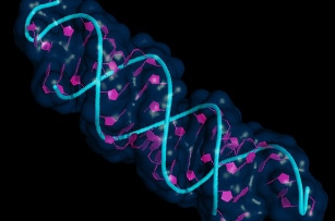 Nucleic acid drugs