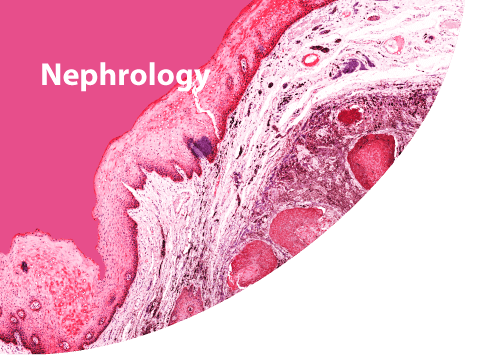 Nephrology