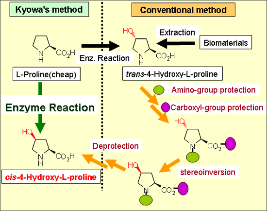 About an innovative new industrial manufacturing method for cis-4-hydroxy-L-proline