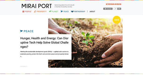 Mirai Port Website image
