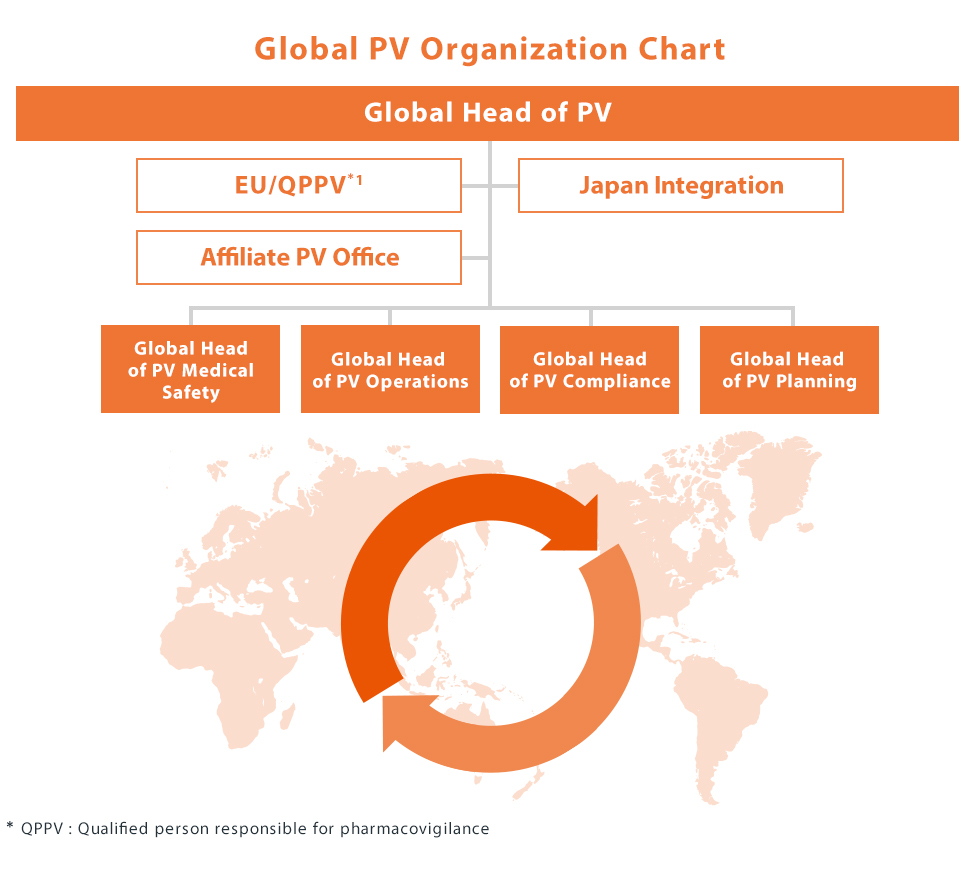 Global PV Organization Chart