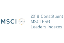 MSCI 2018 Constituent MSCI ESG Leaders Indexes