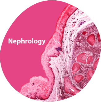 Nephrology