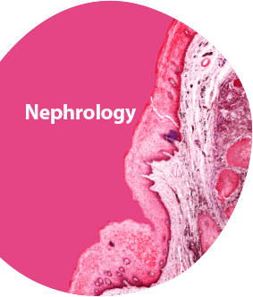 Nephrology