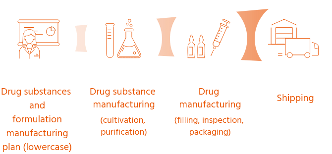 Drug substances and formulation manufacturing plan (lowercase) → Drug substance manufacturing (cultivation, purification) → Drug manufacturing (filling, inspection, packaging) → Shipping