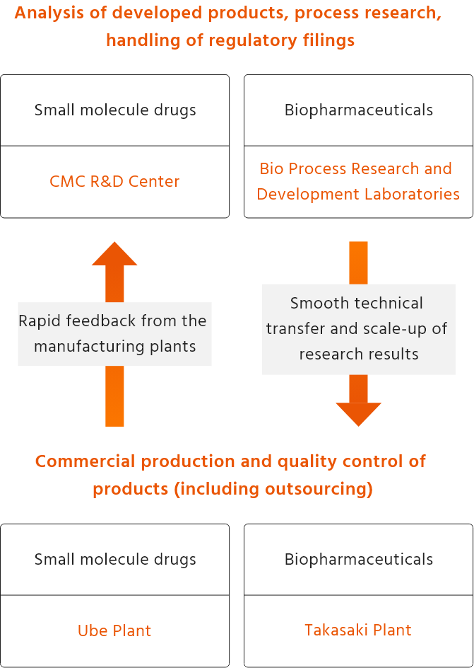 Analysis of developed products, process research, handling of regulatory filings (Small molecule drugs → CMC R&D Center / Biopharmaceuticals → Bio Process Research and Development Laboratories) Commercial production and quality control of products (including outsourcing) （Small molecule drugs → Ube Plant / Biopharmaceuticals → Takasaki Plant）