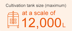Cultivation tank size (maximum):at a scale of 12,000L